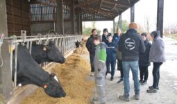 élèves de 5e devant la stabulation des vaches laitières