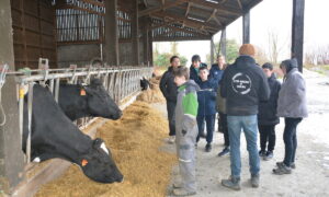 élèves de 5e devant la stabulation des vaches laitières