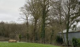 Un bâtiment inondé par l'eau sortie du lit de la rivière