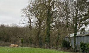 Un bâtiment inondé par l'eau sortie du lit de la rivière