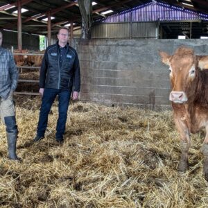 2 hommes dans une stabulation avec une vache