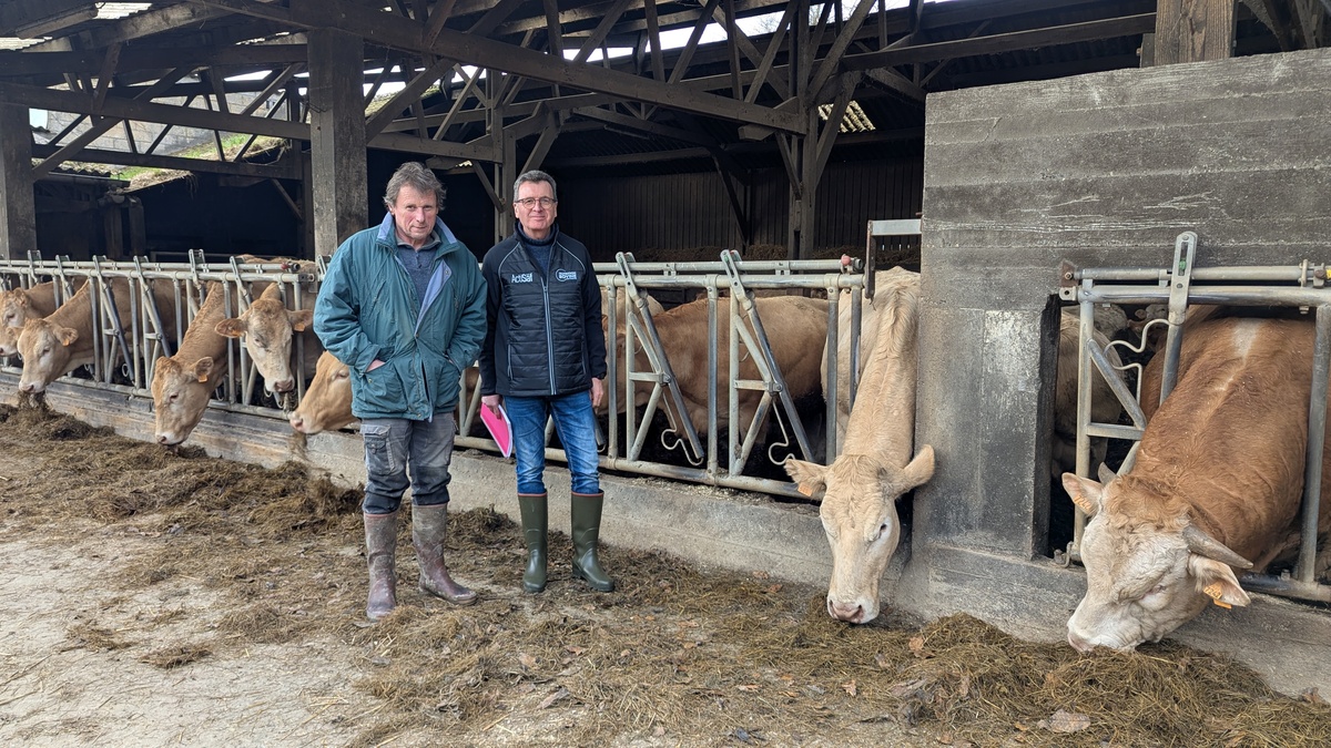 2 hommes devant un cornadis avec des vaches