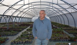 Le producteur de plants Hubert Debbasch dans une de ses serres d’aeonium.