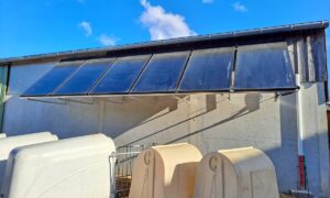 Au dessus de niches à veau, des panneaux solaires thermiques installés sur le bâtiment d'un élevage laitier