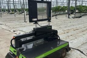 Robot articulé traitant par UV les plants de fraise dans les serres