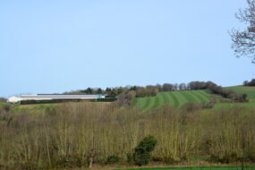 Paysage agricole breton avec bâtiment avicole et culture