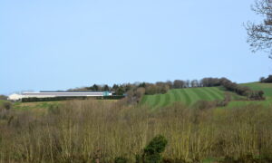 Paysage agricole breton avec bâtiment avicole et culture