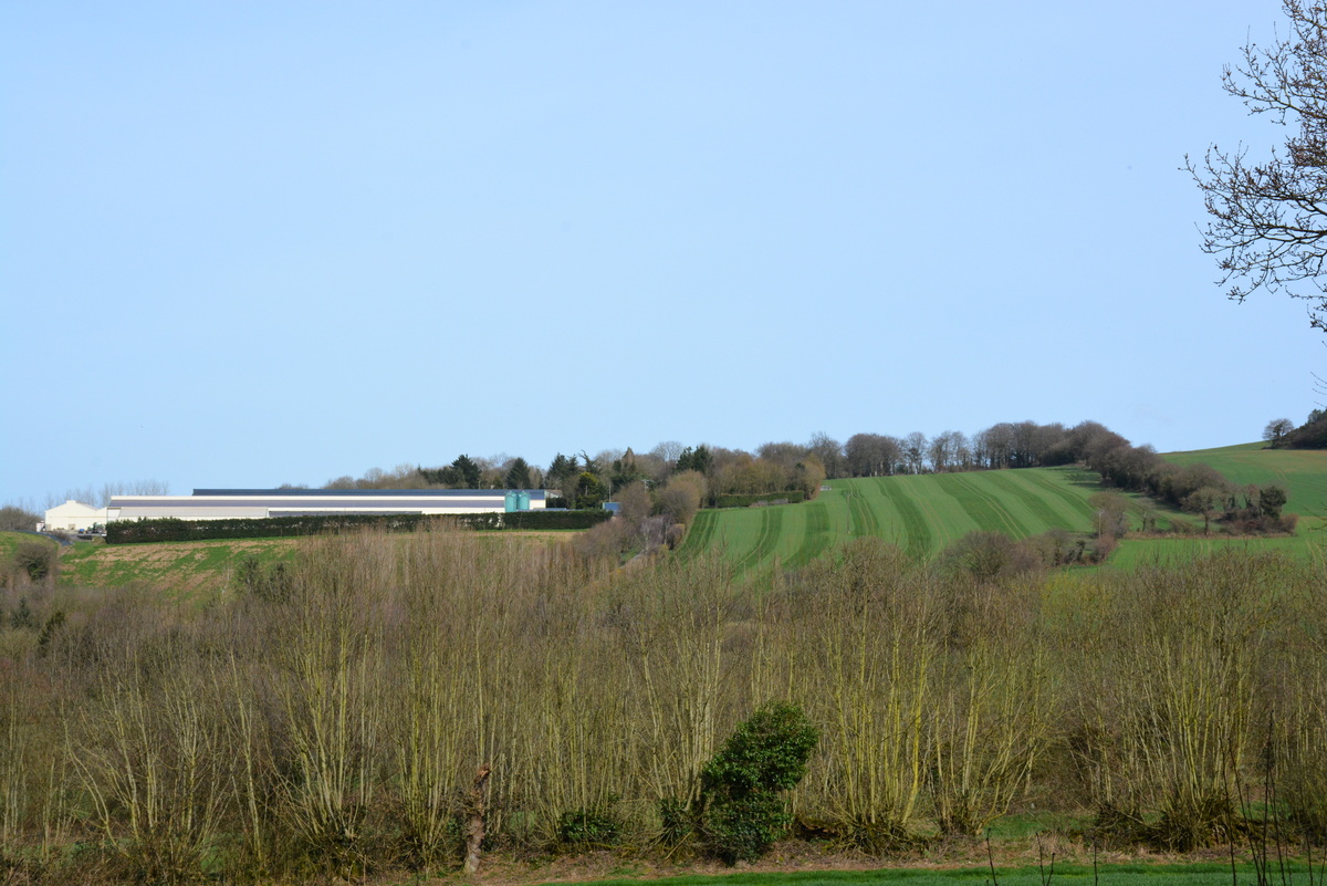 Paysage agricole breton avec bâtiment avicole et culture  - Illustration Viser le rang « d’intérêt général majeur »