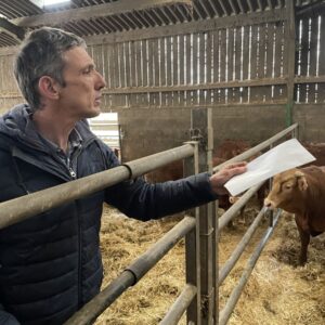 Hervé Merrer avec des vaches Limousines