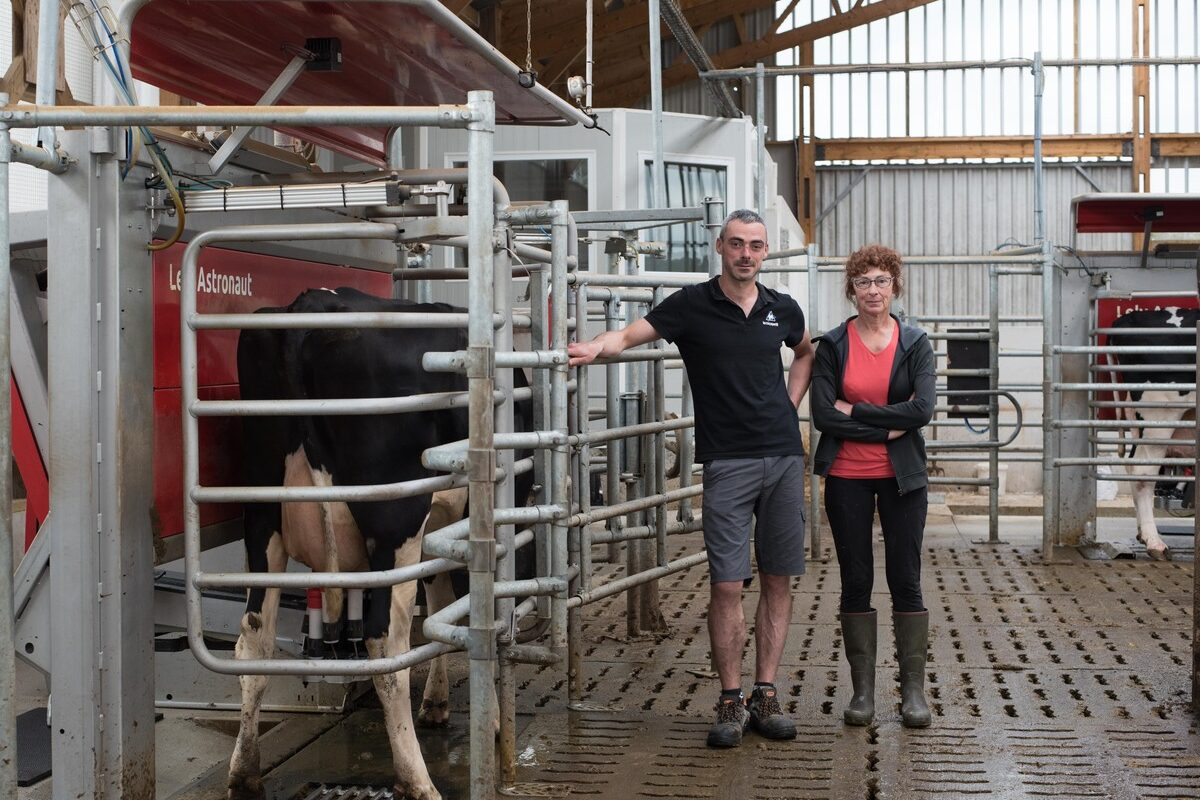 Dans une étable lumineuse, un éleveur et une éleveuse près d'une vache en train de se faire traire par un robot de traite - Illustration Porte ouverte au Gaec de Kerambellec