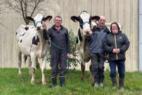 Trois éleveurs, deux hommes et une femme, présentent deux vaches de race Prim'Holstein