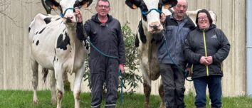 Trois éleveurs, deux hommes et une femme, présentent deux vaches de race Prim'Holstein