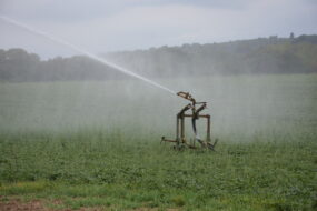 Irrigation d'un champ par aspersion