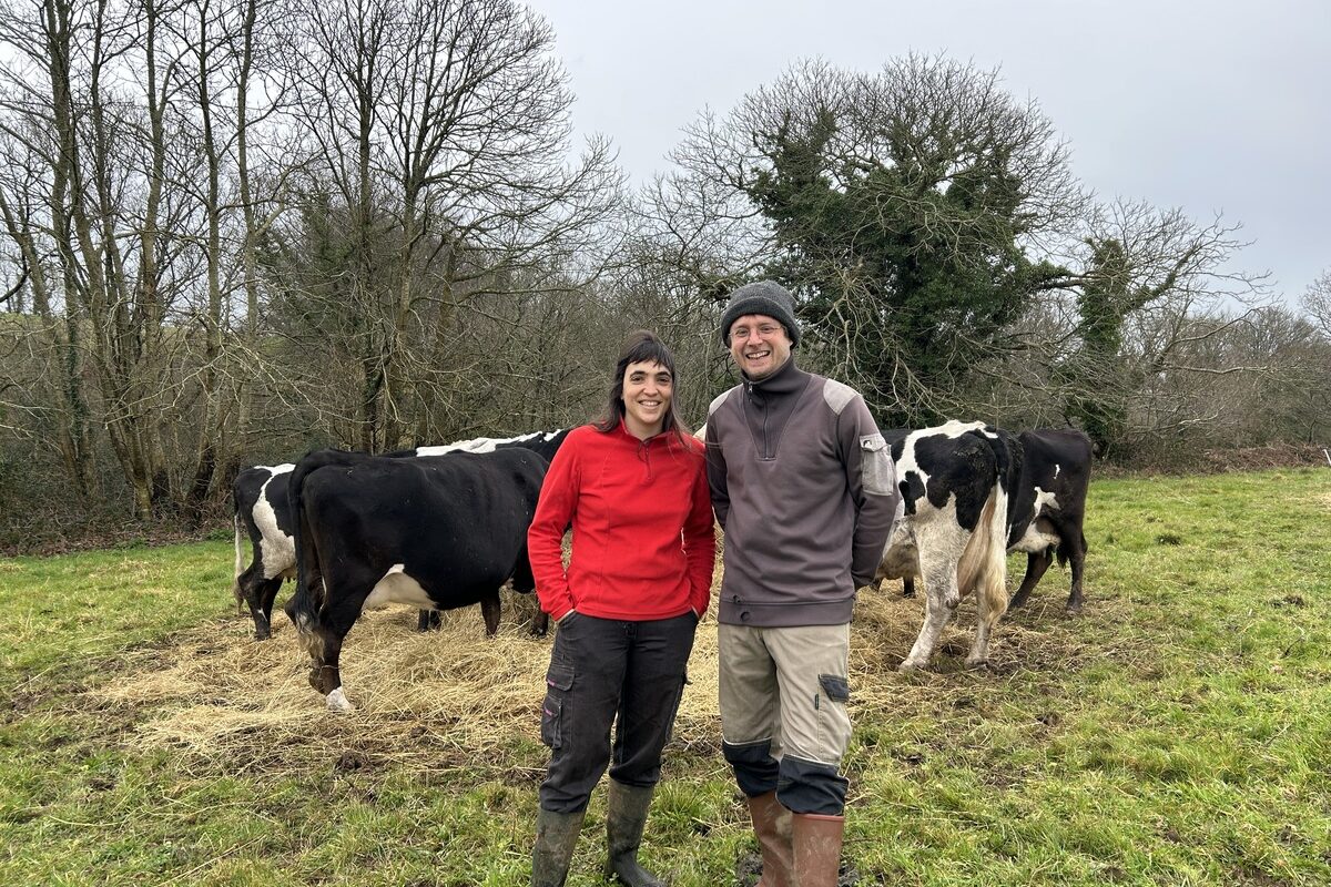 Aurélie Cheveau et Madeg Join-Lambert parmi leurs vaches à Querrien Finistère - Illustration En attendant les vêlages…