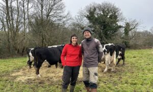 Aurélie Cheveau et Madeg Join-Lambert parmi leurs vaches à Querrien Finistère