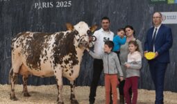 Une vache Normande sur le podium du concours de Paris accompagnée de deux hommes, une femme et trois enfants