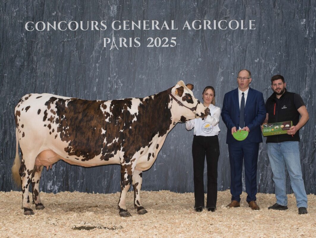 Souriante (Oltraford x Montblanc), appartenant au Gaec Delaunay Parigné à Parigné (35), a rapporté le premier de section des vaches en 2e lactation.