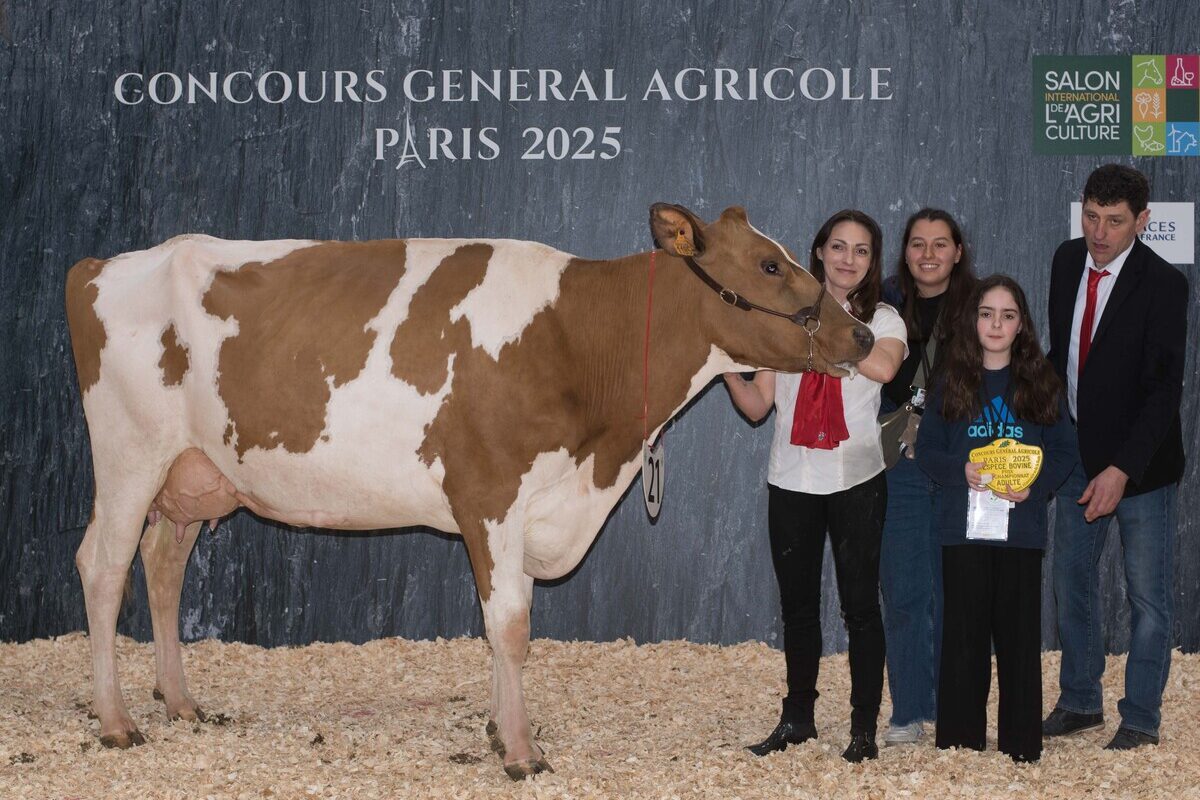 Une vache Pie Rouge, deux femmes, une enfant et un homme sur le podium d'un concours à Paris - Illustration Rubis Rosie brille à Paris