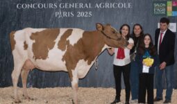 Une vache Pie Rouge, deux femmes, une enfant et un homme sur le podium d'un concours à Paris