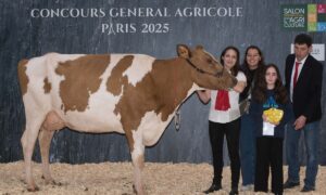 Une vache Pie Rouge, deux femmes, une enfant et un homme sur le podium d'un concours à Paris