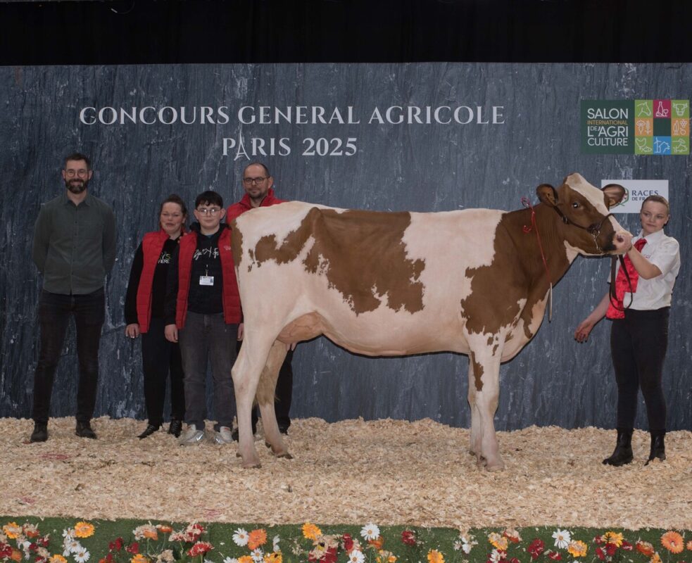 Une vache Pie Rouge et un groupe de personnes sur le podium d'un concours bovins à Paris