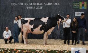 Une vache Prim'Holstein sur le podium du concours de Paris 2025 entourée par deux femmes et quatre hommes