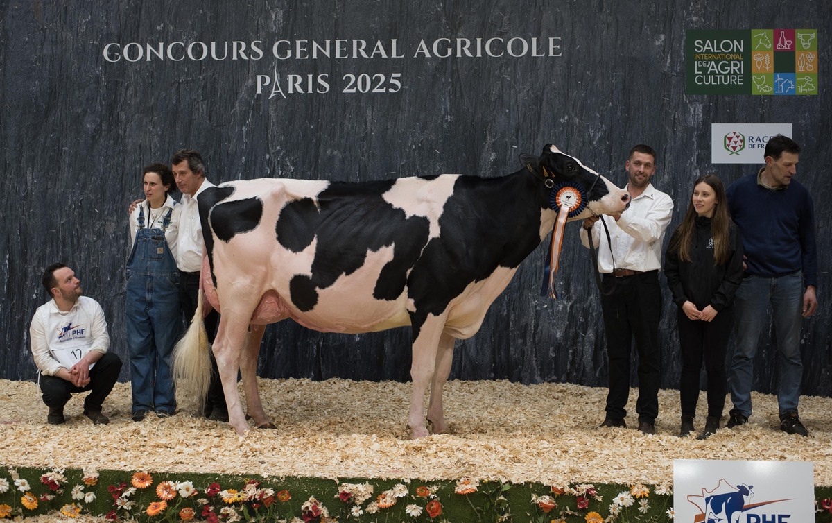 Une vache Prim'Holstein sur le podium du concours de Paris 2025 entourée par deux femmes et quatre hommes - Illustration Pastèque, rafraîchissante jusqu’au bout