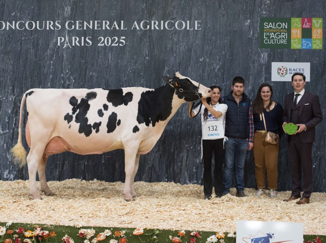 De Gregam Okachief (Chief Stan x Snowden BR), au Gaec Gregam Holstein à Grandchamp (56), décroche le prix de section des 5e lactation.