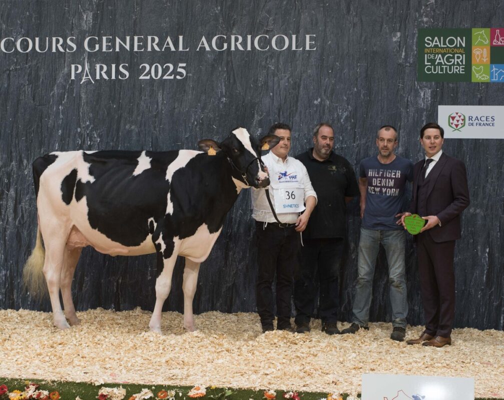 JBToullec Chief Rora (Chief Stan x Crushabull), au Gaec Toullec à Plomelin (29), rapporte le prix de section 2A des 2e lactation.  