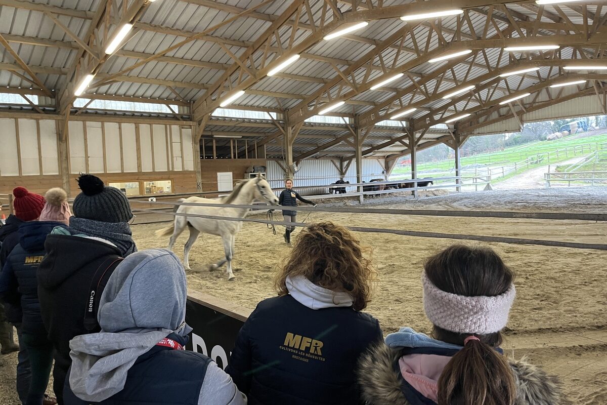 Des personnes dans les gradins d'un manège équestre et une jeune fille et un cheval en présentation au milieu - Illustration Le cheval, une passion et un métier