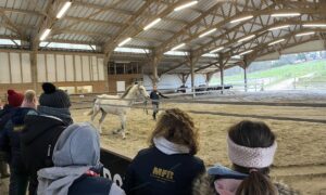 Des personnes dans les gradins d'un manège équestre et une jeune fille et un cheval en présentation au milieu