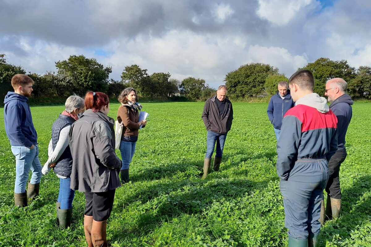 agriculteurs en formation dans une parcelle  - Illustration De l’herbe pour diversifier les rotations dans les parcelles éloignées