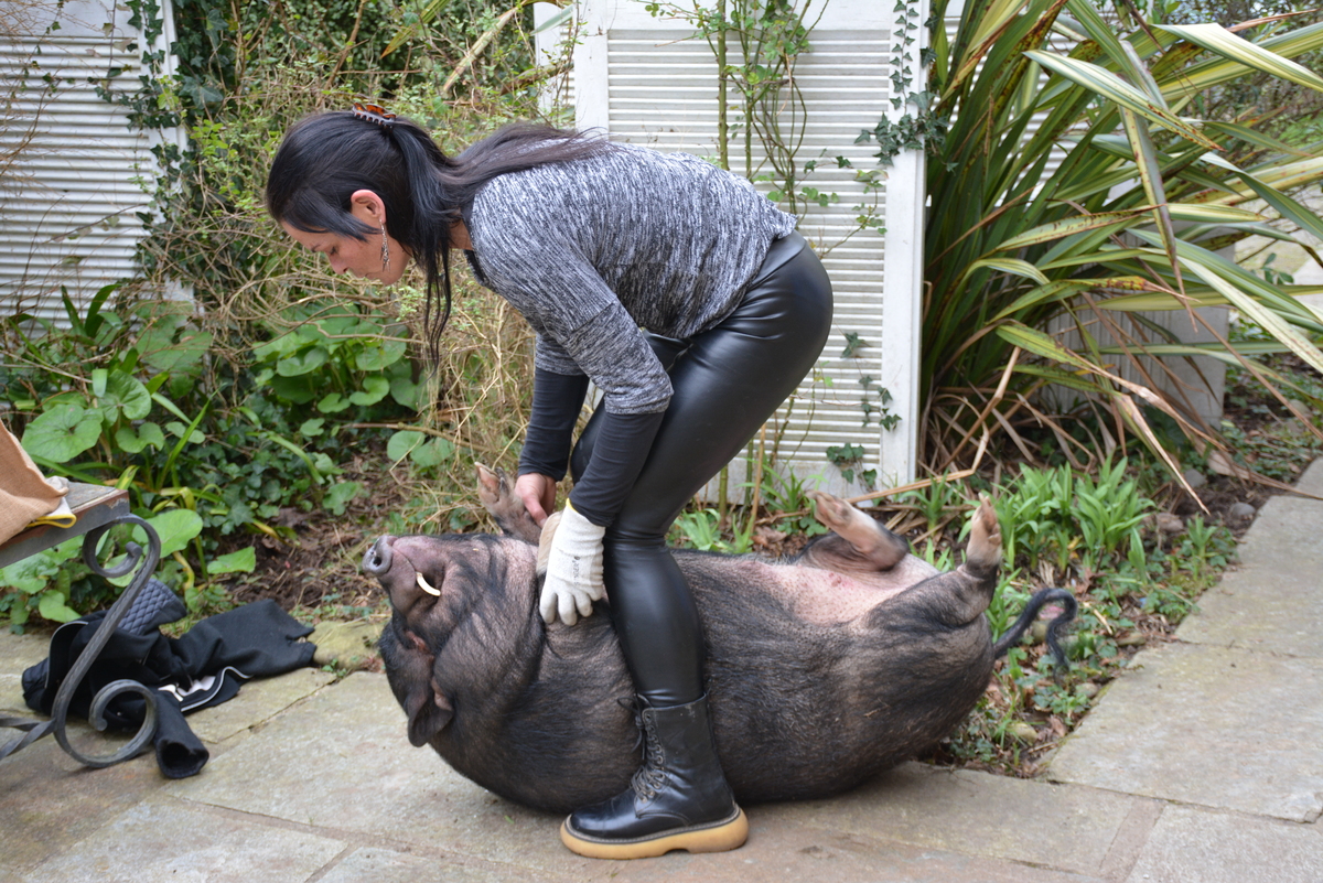 Une femme et un cochon - Illustration La vie en rose pour Scoubi & co