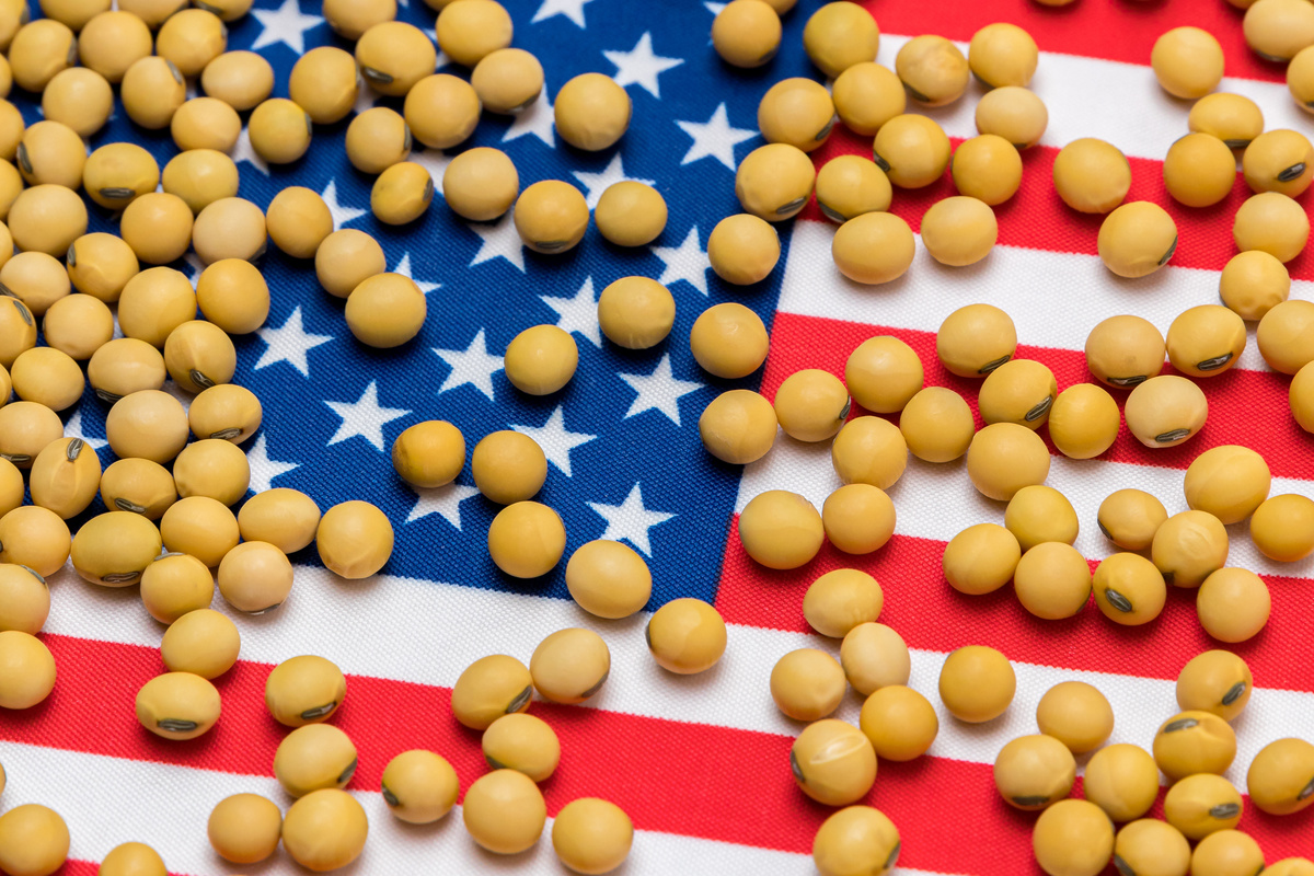 grains de soja sur un drapeaux des Etats-Unis - Illustration Agroéquipement  et nutrition animale en première ligne 