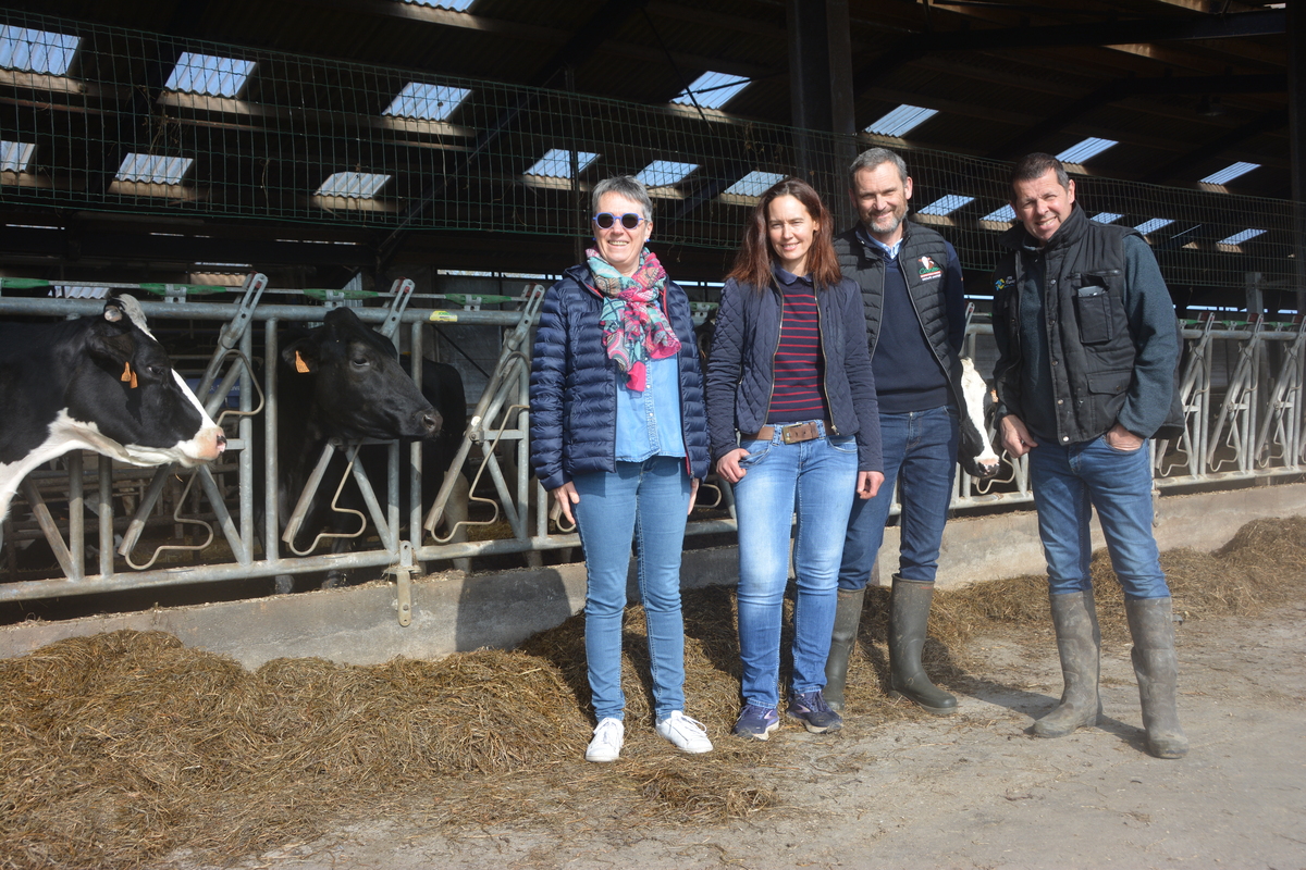 Marie-Claire et Jean-Jacques Picart, Pascale et Franck Chombart devant des vaches - Illustration Zoom sur l’installation