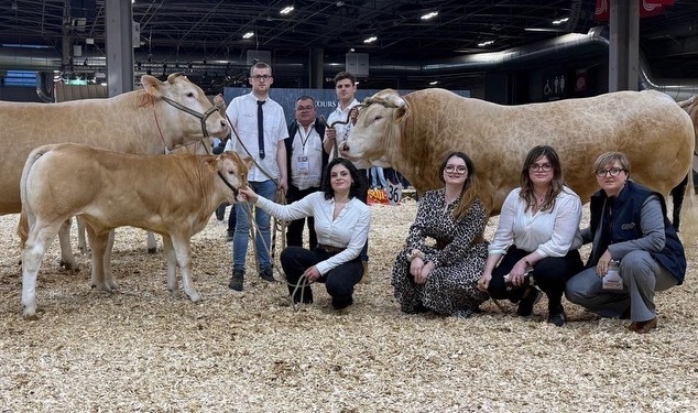 La famille avec la vache suitée et le taureau sur le ring - Illustration Deux premiers  prix pour  l’EARL Robin-Picard