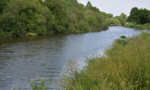 La rivière Vilaine avec de la végétation sur les abords