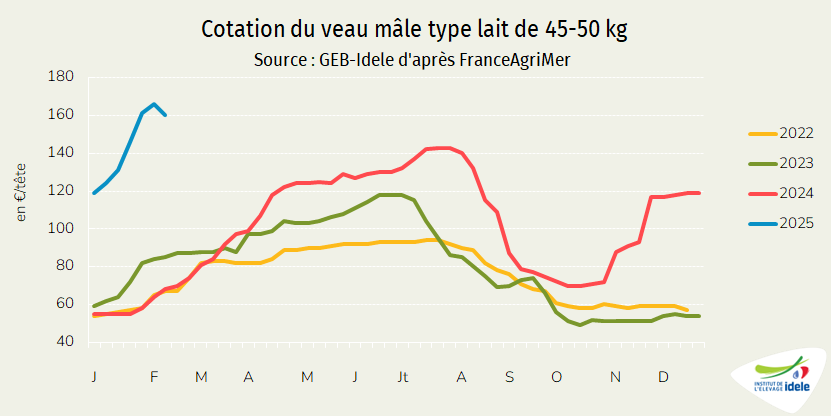 Courbe des prix des VEAUx en France  - Illustration Cours des veaux laitiers  à des niveaux records