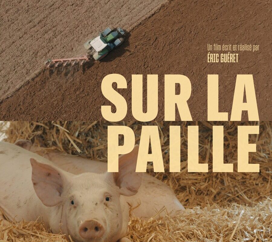 Affiche du film documentaire Sur la paille avec un cochon dans de la paille et un tracteur labourant un champ - Illustration Cinéma rural à Plouguenast