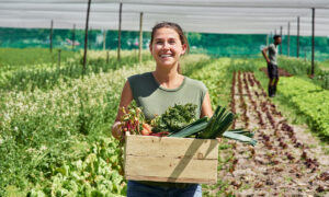 Une femme avec le sourire qui ramasse des légumes dans un champ