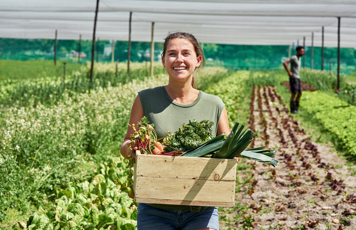 Une femme avec le sourire qui ramasse des légumes dans un champ - Illustration Femmes en agriculture : un groupe de travail lancé au ministère