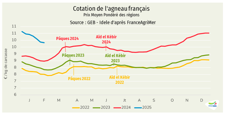 Graphique de comparaison de la cotation de l'agneau français de 2022 à 2025 - Illustration Les cours chutent face à la sortie saisonnière des agneaux