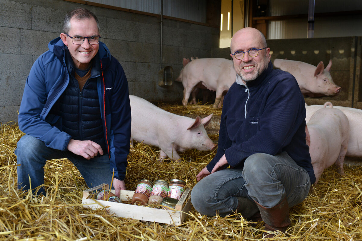 2 hommes présentant des bocaux de plats cuisinés avec des porcs élevés sur paille derrière eux - Illustration Ils font mijoter leurs bocaux au coeur du méné