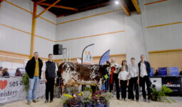 Des personnes devant une vache