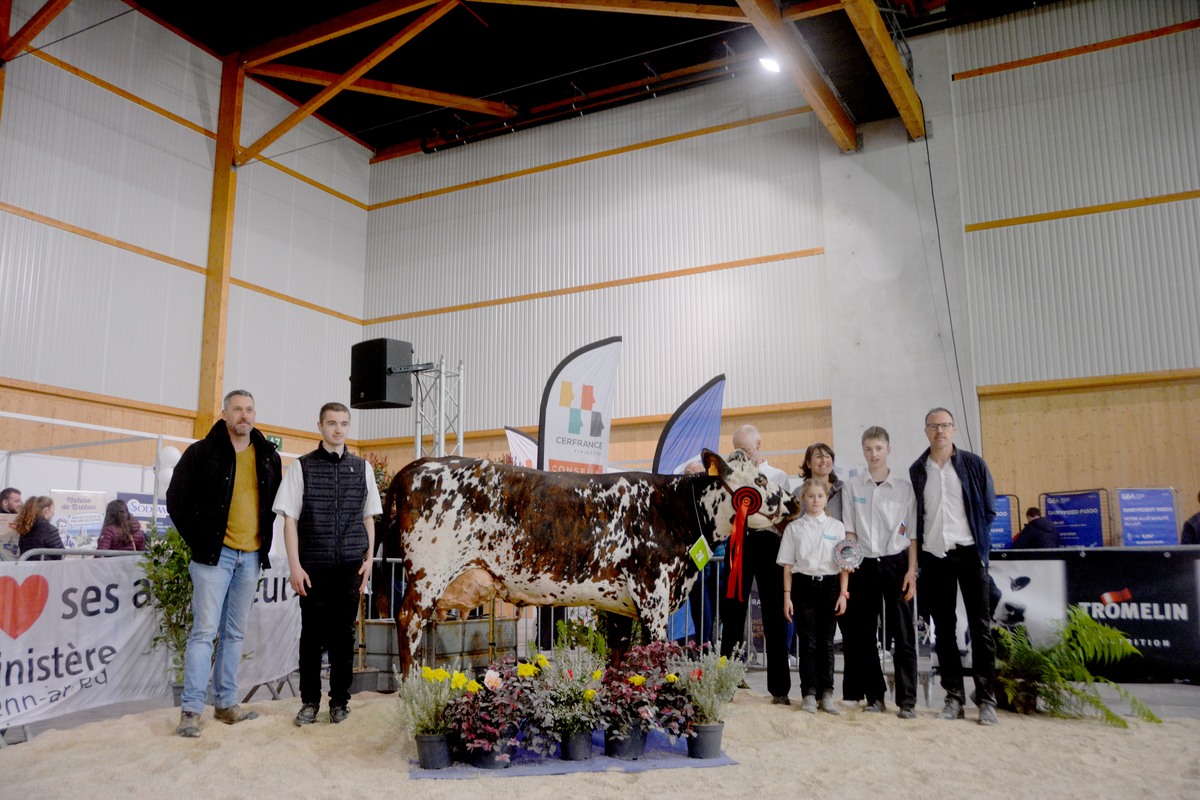 Des personnes devant une vache - Illustration Pensylvani, la plus  belle de Ploubezre