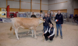 Dex gens avec une vache Blonde d'Aquitaine