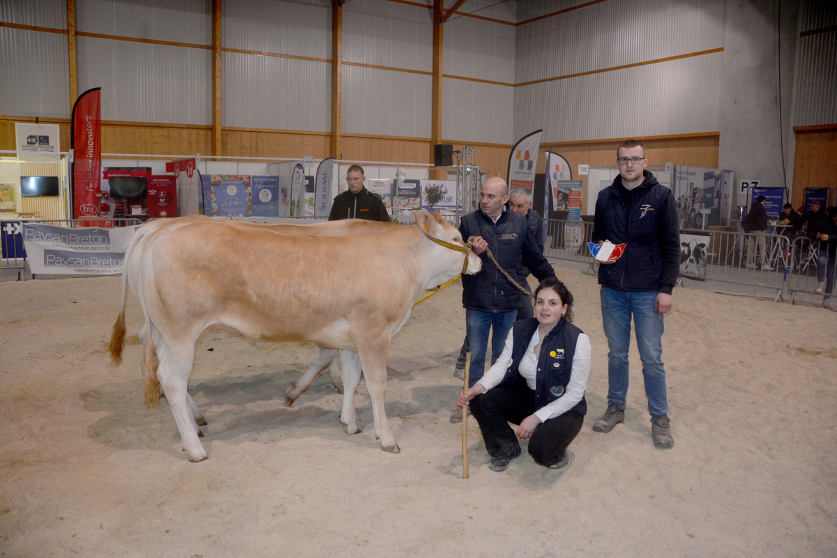 Dex gens avec une vache Blonde d'Aquitaine - Illustration Un concours riche à Quimper