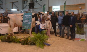 Des personnes avec une vache Prim'Holstein