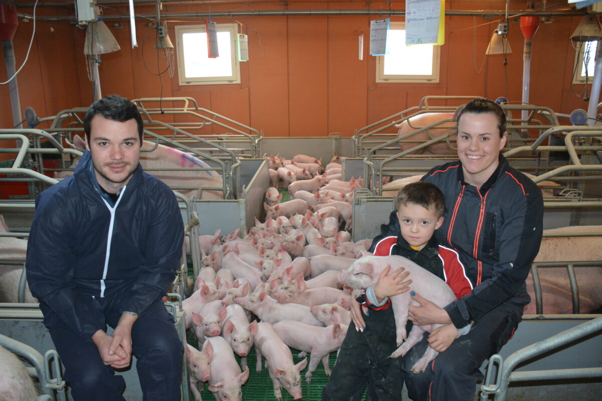 Un couple et leur fils dans une maternité porcine au milieu des truies et des porcelets - Illustration Une génétique en constante évolution