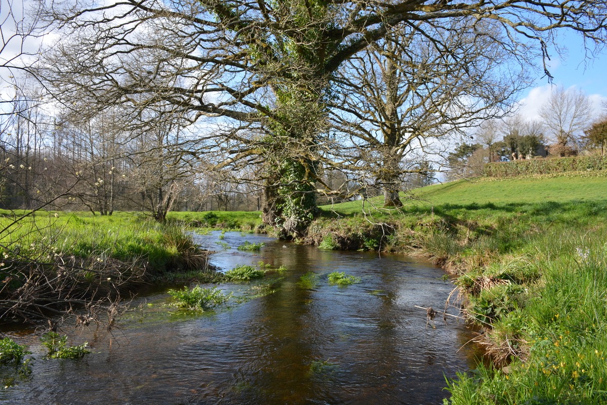 Ruisseau du Krann à Spézet  - Illustration Voyage linguistique au fil de l’eau